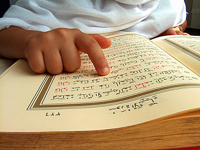 quran-reading