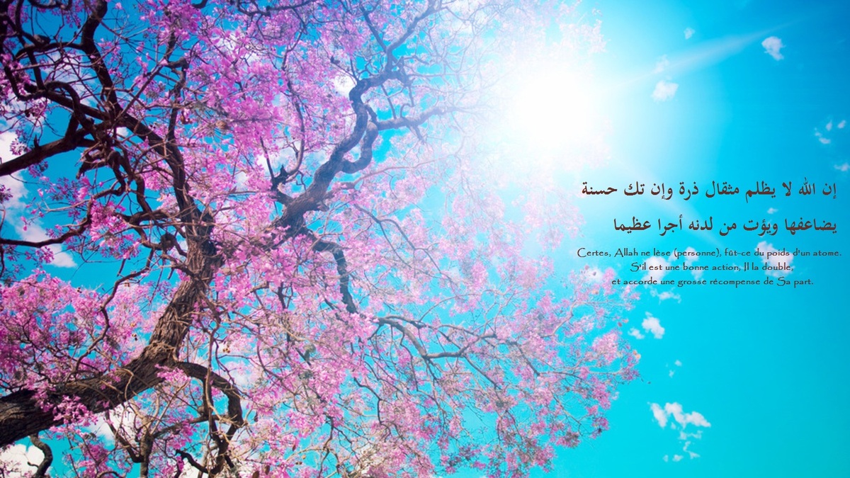 fond-islam--187-